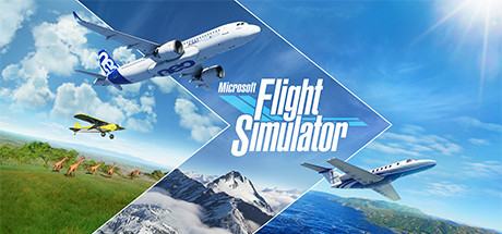 Купить Microsoft Flight Simulator 2020 - общий аккаунт